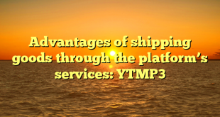 Advantages of shipping goods through the platform’s services: YTMP3