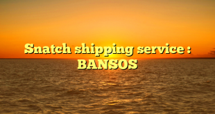 Snatch shipping service : BANSOS