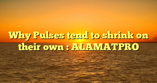 Why Pulses tend to shrink on their own : ALAMATPRO