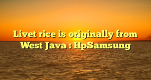 Livet rice is originally from West Java : HpSamsung