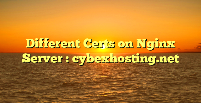 Different Certs on Nginx Server : cybexhosting.net