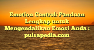Emotion Control: Panduan Lengkap untuk Mengendalikan Emosi Anda : pulsapedia.com