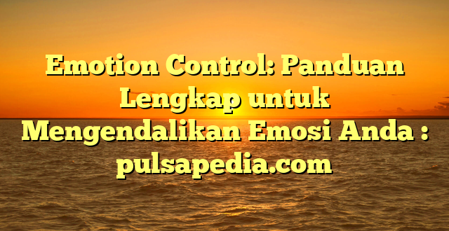 Emotion Control: Panduan Lengkap untuk Mengendalikan Emosi Anda : pulsapedia.com