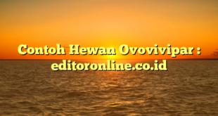 Contoh Hewan Ovovivipar : editoronline.co.id