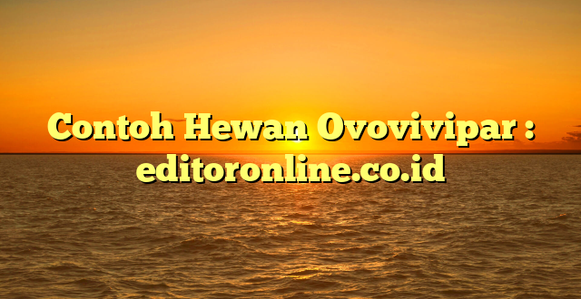 Contoh Hewan Ovovivipar : editoronline.co.id