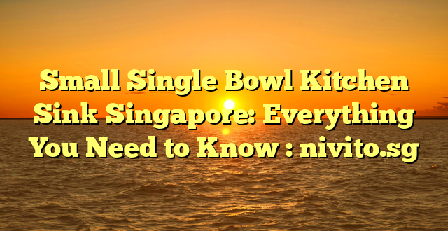 Small Single Bowl Kitchen Sink Singapore: Everything You Need to Know : nivito.sg